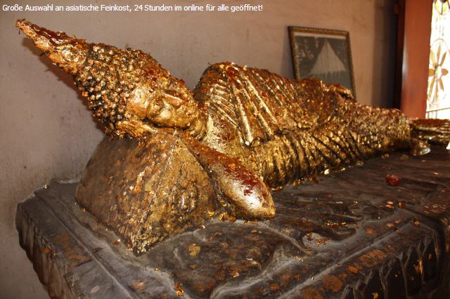 Aunergine gross Streifen